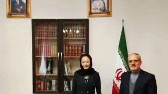 دیدار معاون دبیرکل سازمان همکاری شانگهای با مقام وزارت خارجه ایران