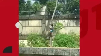 ببینید؛ تصاویر دلخراش از حمله مرگبار شیر ماده به پسر ۱۹ ساله در برزیل