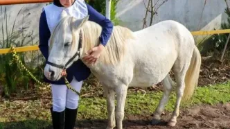 تصاویر؛ جشنواره زیبایی اسب کاسپین در انزلی