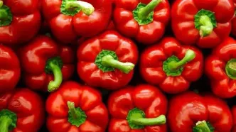 تفاوت فلفل دلمه ای نر و ماده؛ فلفل دلمه نر برای پخت و پز است یا ماده؟