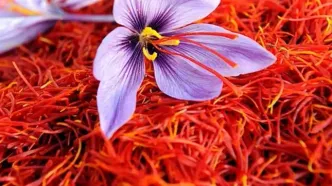اتفاقی که بعد از اضافه کردن زعفران به غذا برای ما می‌افتد