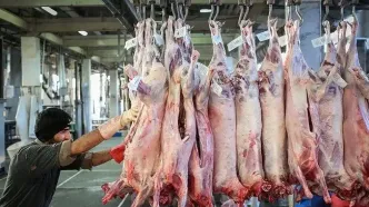 قیمت گوشت وارداتی اعلام شد