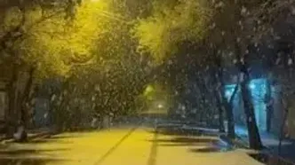 فیلم رویایی از بارش شدید برف بامداد امروز در نجف‌آباد اصفهان