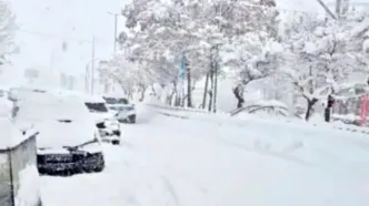 شادی زمستانی مردم فریدونشهر پس از بارش برف