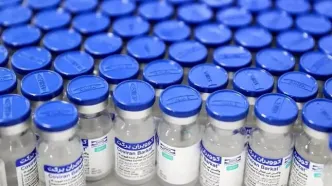 مطالبات معوق تأمین‌کنندگان مواد اولیه واکسن برکت/سکوت مسئولان سابق ادامه دارد