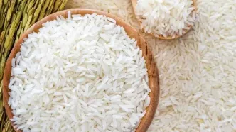خبر مهم تعزیرات درباره واردات و توزیع برنج | قیمت برنج می‌ریزد ؟