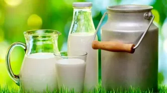 کاهش فوری قیمت لبنیات در راه است ! | جزئیات تصمیم جدید دولت