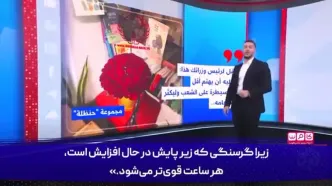 نفوذ بی‌سابقۀ هکرهای ایرانی اسرائیلی‌ها را شوکه کرد