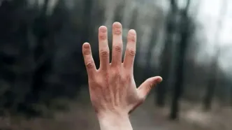 چرا انسان‌ها در هر دست‌ و پای خود ۵ انگشت دارند؟