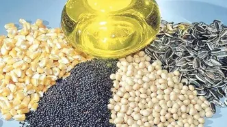 آغاز ثبت سفارش فصل زمستان دانه‌های روغنی