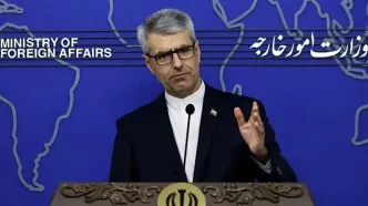 بقائی: تحریم‌های یکجانبه مصداق جنایت علیه بشریت است