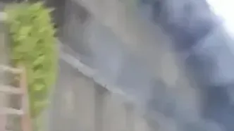 زن قبل از نجات خود، سگ‌هایش را از میان شعله‌های آتش رهانید