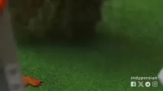 ببینید؛ ربات‌هایی که می‌رقصند و خانه‌تکانی می‌کنند!