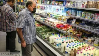 پشت پرده گرانی‌ لبنیات/صادرات شیرخشک علت افزایش قیمت لبنیات؟/جهش بی‌سابقه قیمت لبنیات/افزایش 52 درصدی قیمت شیرخام