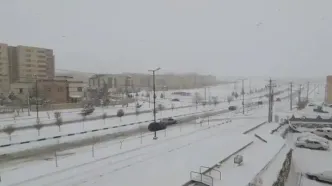 برف شمال تهران را سفیدپوش کرد