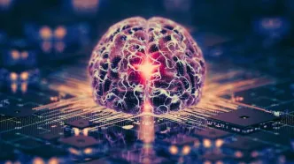 کامپیوترهای ساخته‌شده از مغز انسان در راهند