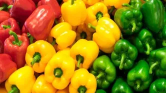 این صیفی رنگارنگ منبع ویتامین C است