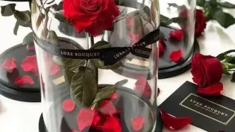 قیمت گل در روز مادر چند برابر شد؟ + جدول قیمت