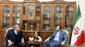 غریب آبادی: روابط ایران و برزیل ظرفیت گسترش قابل توجهی دارد