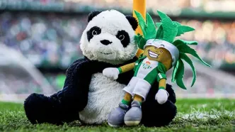 زمین فوتبال زیر باران عروسک‌ها در آستانه کریسمس