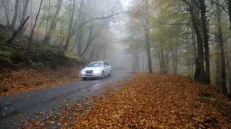 تصاویر؛ بازگشت باران به سوادکوه