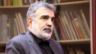 سخنگوی سازمان انرژی اتمی: می‌خواهیم با آژانس همکاری می‌کنیم، اما واقعاً با وضعیتی پیچیده مواجه هستیم