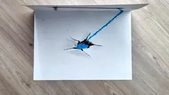 به همین سادگی یک نقاشی 3 بعدی شگفت‌انگیز بکشید!