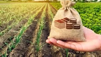 سهم صندوق بیمه کشاورزی در بودجه ۱۴۰۵ تعیین شد