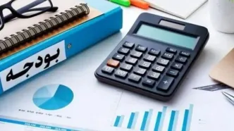 شرکت‌های دولتی زیر نگاه نظارتی دیوان محاسبات قرار گرفتند