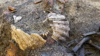 کشف یک گور اسرارآمیز «وایکینگی» در نروژ