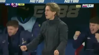 ویدیو: خلاصه بازی کریستال پالاس 0 - تاتنهام 1