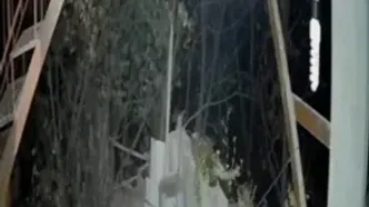 ورود خرس به منزلی مسکونی در خطیرکوه استان سمنان