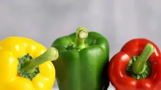 تفاوت فلفل دلمه ای نر و ماده در چیست؟/ فلفل دلمه ای نر برای پخت و پز بهتر است یا ماده ؟
