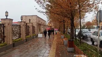 تصاویری ناب از بارش شدید باران در جنوب ایران