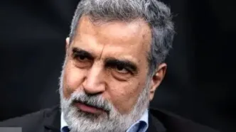 بازرسی‌های اخیر آژانس با اجازه شورای عالی امنیت ملی بوده است