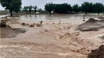 لحظه نجات ۵ خانواده محاصره شده در سیل هرمزگان