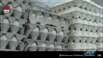 علت گرانی تخم مرغ چه بود؟+ ویدئو