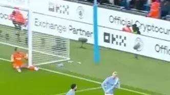 ویدئو: خوشحالی منحصر به فرد هالند