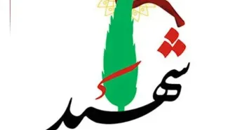 شهادت یک نیروی سپاه در لار