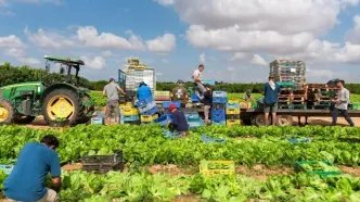 ادعای جروزالم‌پست: ایران برای فلج کردن کشاورزی اسرائیل به تایلند پیشنهادی مخفیانه داده بود