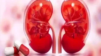 کنترل قند و فشار خون کلید پیشگیری از نارسایی کلیه است