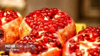 مقایسه شب یلدا در طول ۱۰ سال گذشته/هزینه ها ۱۷۴۴ درصد بالا رفت!