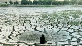 مرگِ نیلوفر کرمانشاه، زیبایی‌ای که خاموش شد