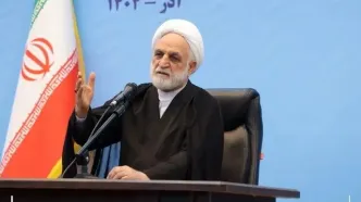 اژه‌ای: رویکرد دستگاه‌های نظارتی نباید مچ‌گیری باشد