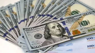 دولت فرایند تک‌نرخی کردن ارز را کلید زد