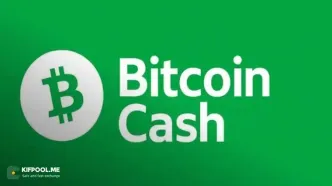 رکوردشکنی بیت‌کوین کش: بهترین عملکرد هفته بین رمزارزهای برتر