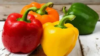 فلفل دلمه‌ای نر یا ماده، کدام برای پخت بهتر است؟