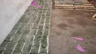 کشف ۱۲۹ کیلوگرم ماده مخدر گل توسط مأموران گمرک در مرز آستارا