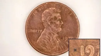 کوچک‌ترین ربات‌ جهان ساخته شد/ تصاویر