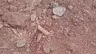 ویدئویی تکان‌دهنده از یک قبرکن که پرویز پرستویی منتشر کرد